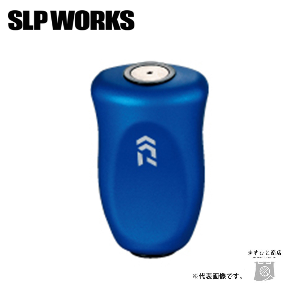 DAIWA（ダイワ） SLPワークス SLPW 23SALTIGA シャロースプール 5000