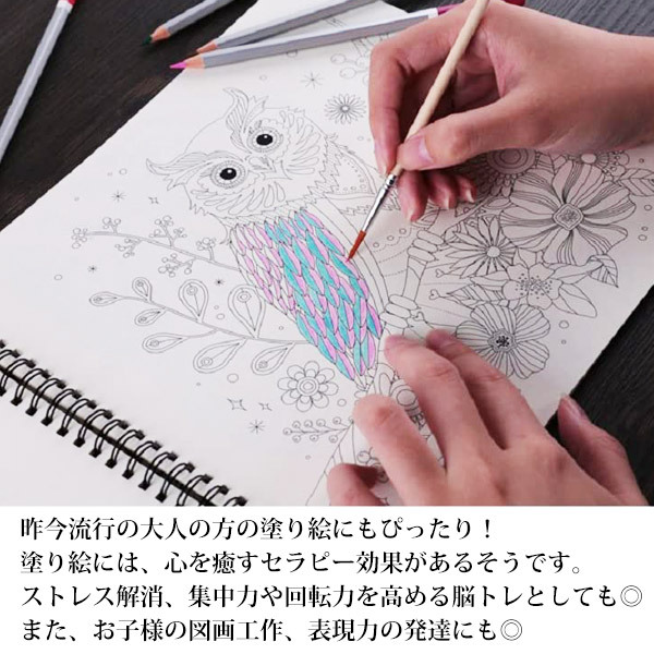 正規品 純正 ぬり絵 ぺんてる クレヨン28色付 ストレスが少ない人の セラピー効果 F51d5d5b 大阪特売 Cfscr Com