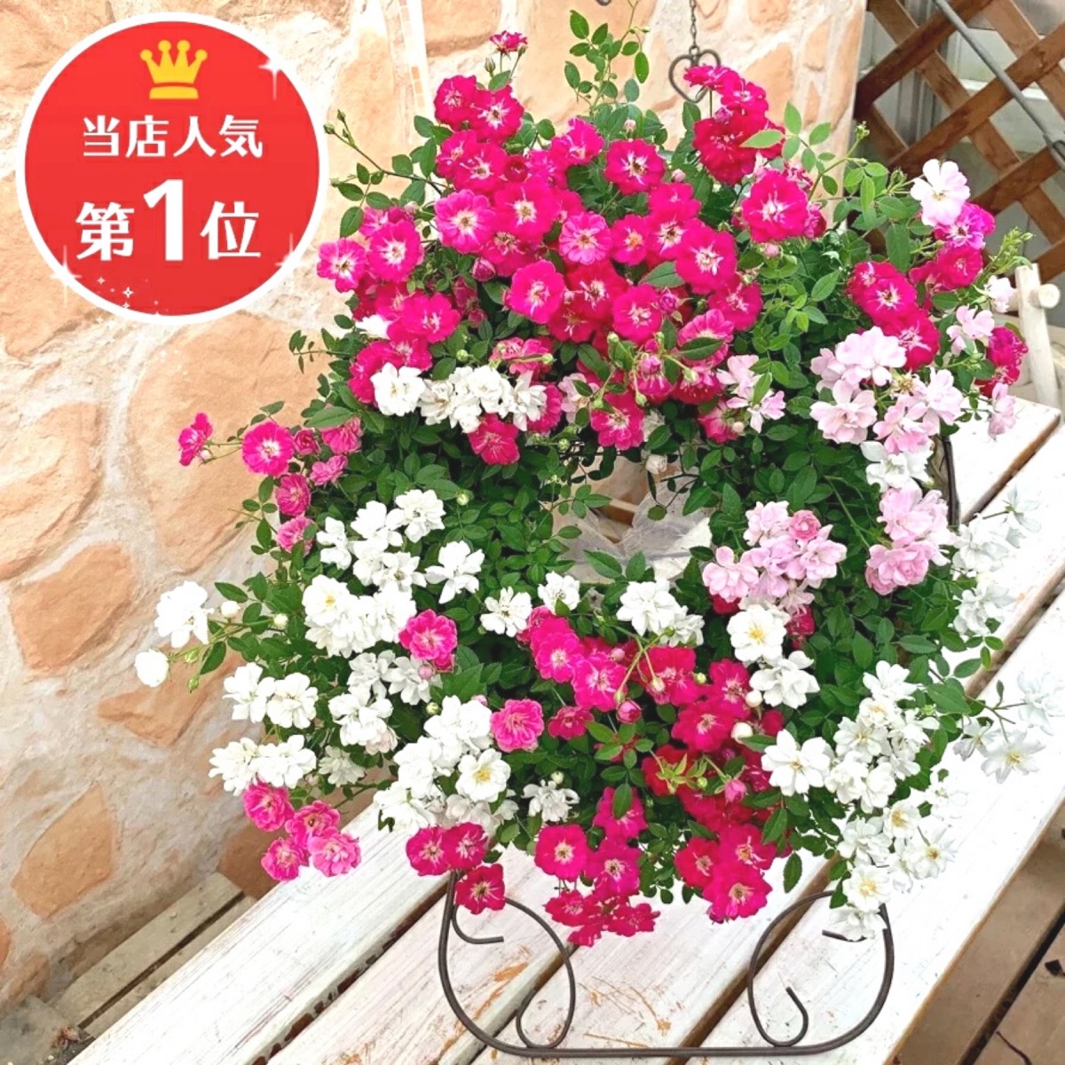 ミニバラ 寄せ植え フラワーリース レンゲローズ ギフト プレゼント