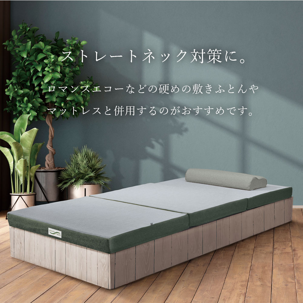ロマンス小杉 エコーまくら ネックSエコーまくら ネックスエコーまくら