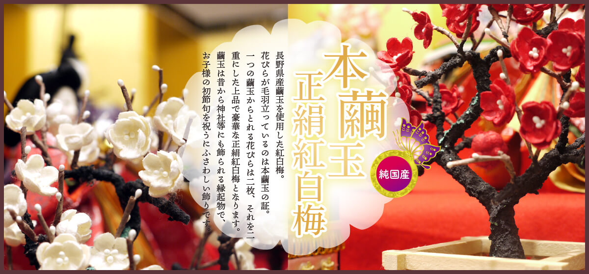 説明文