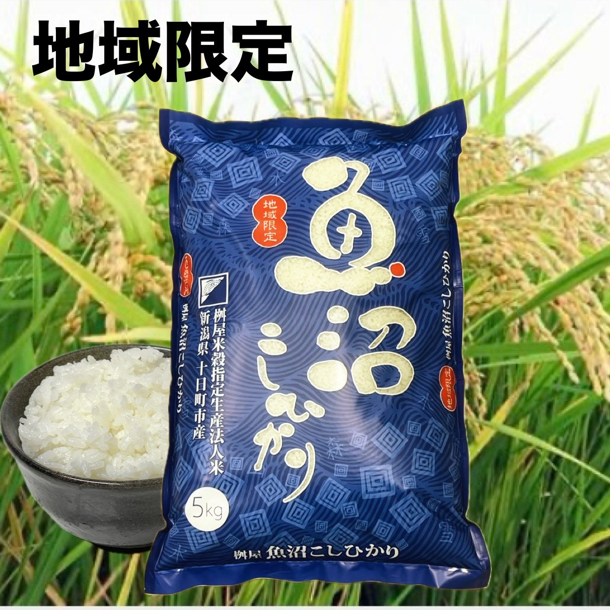 コシヒカリ 地域限定 新潟県十日町市産 魚沼こしひかり 5kg 送料