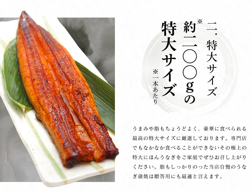 うなぎ 蒲焼き ウナギ 鰻 プレミアム会員4580円 のし対応 特大にほんうなぎ蒲焼き200g×2尾 計400g 台湾産 タレ山椒つき 化粧箱入  魚介類 海産物 海鮮 :t-unagi-400:越前かに問屋ますよね公式ストア - 通販 - Yahoo!ショッピング