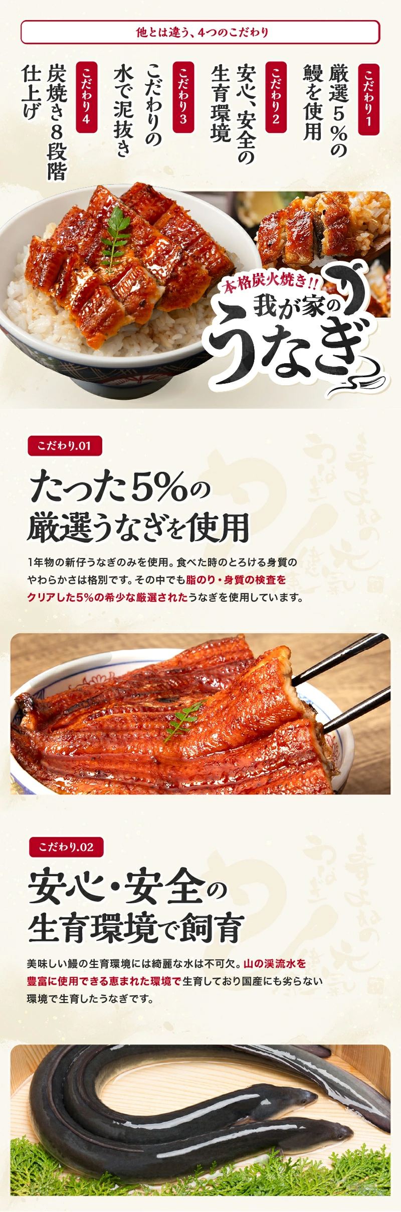 ★ギフトパッケージ配送仕様★ 母の日 ますよね 新仔うなぎ蒲焼き 200g×2尾 計400g 炭火焼き 蒸し2回 焼き6回 中国産 ISO認証 HACCP管理 タレ山椒付 | ますよね | 09