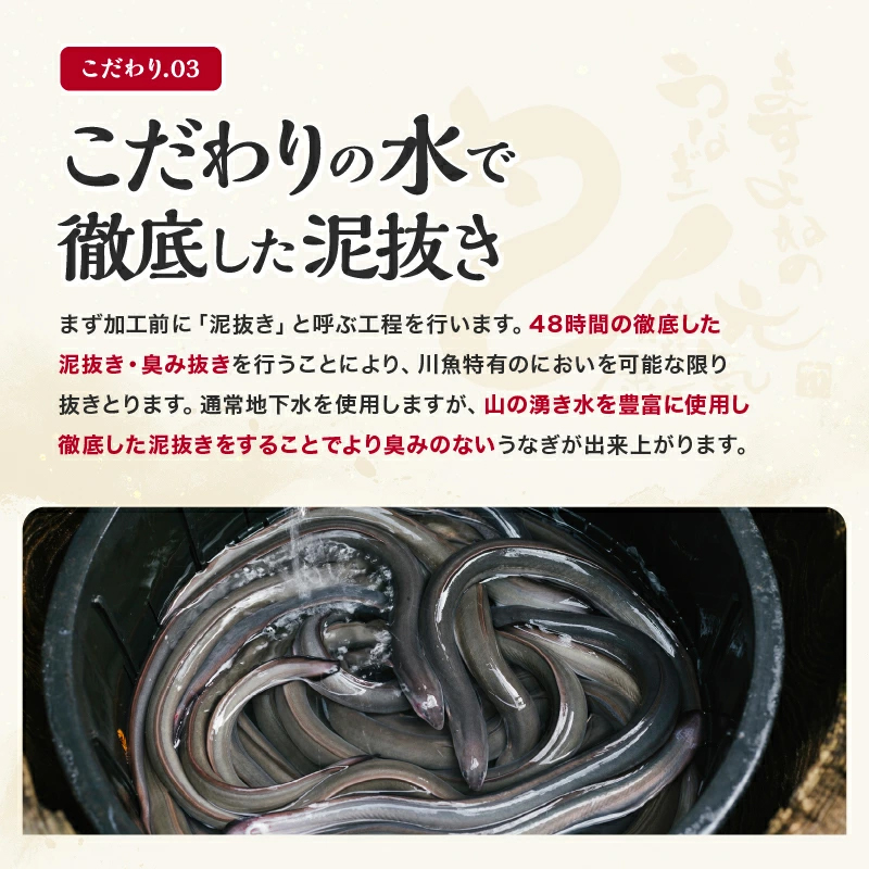 ★ギフトパッケージ配送仕様★ 母の日 ますよね 新仔うなぎ蒲焼き 200g×2尾 計400g 炭火焼き 蒸し2回 焼き6回 中国産 ISO認証 HACCP管理 タレ山椒付 | ますよね | 12