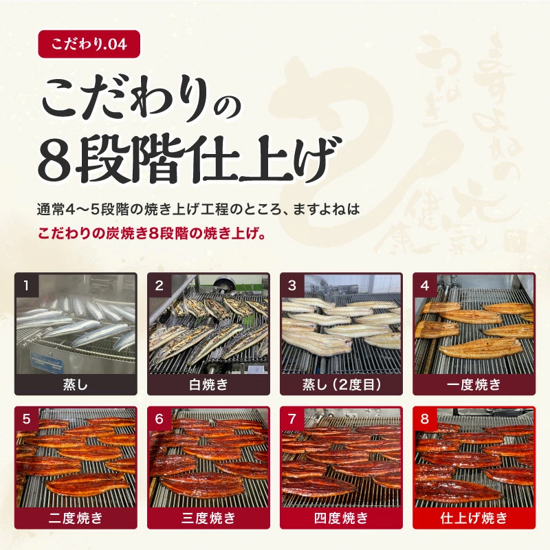 ★ギフトパッケージ配送仕様★ 母の日 ますよね 新仔うなぎ蒲焼き 200g×2尾 計400g 炭火焼き 蒸し2回 焼き6回 中国産 ISO認証 HACCP管理 タレ山椒付 | ますよね | 13