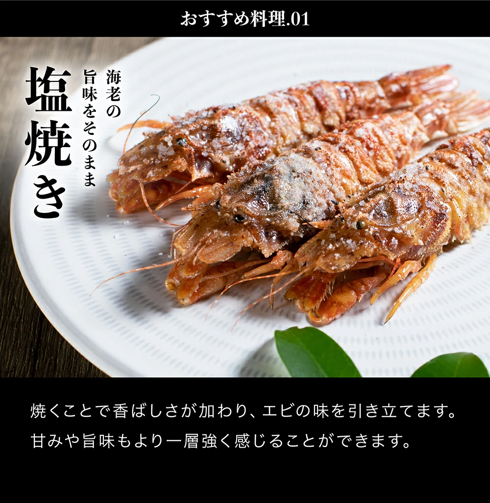 50%OFFクーポン有 400個限定 エビ えび ゴジラエビ お刺身OK オニエビ750g 約25尾 1ブロック冷凍 鬼神エビ イバラモエビ 甘み濃厚  海産物 魚介類 :y-oniebi:越前かに問屋ますよね公式ストア - 通販 - Yahoo!ショッピング