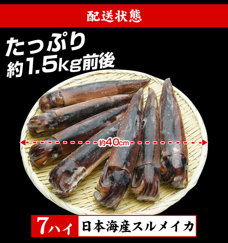 イカ いか 生 日本海産 生スルメイカ姿7ハイ 約1.5kg IQF瞬間冷凍 解凍後に吸盤が吸いつく鮮度 お刺し身OK 刺身 魚介類 海産物 海鮮 送料無料  :y-508P3:越前かに問屋ますよね公式ストア - 通販 - Yahoo!ショッピング