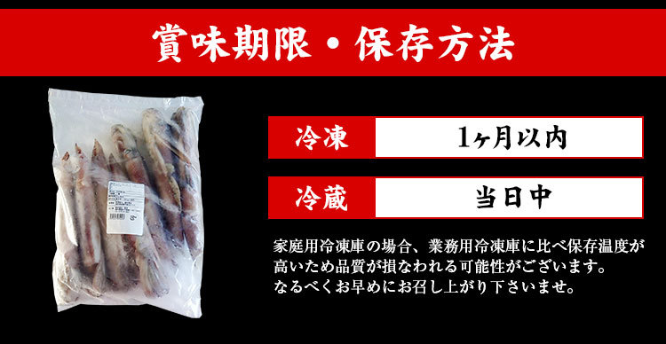 予約販売 本 イカ いか 生 解凍後に吸盤が吸いつく鮮度 日本海産 生スルメイカ姿7ハイ 約1 5kg お刺し身 刺身 あすつく非対応 Supplystudies Com