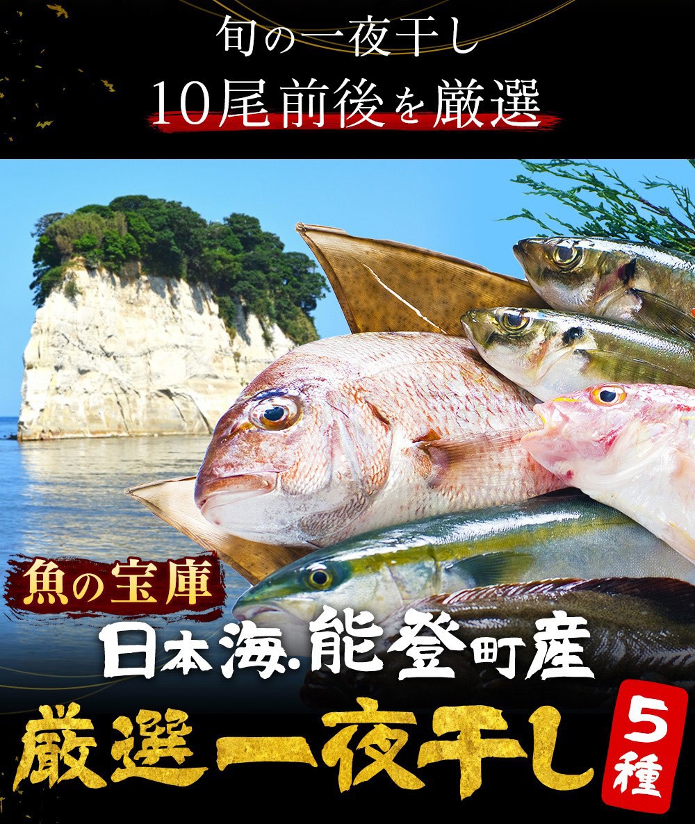 ※在庫切れ※ ギフト プレミアム会員3080円セール 干物 国産 国産