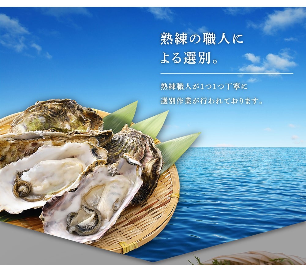 50%OFFクーポン有 牡蠣 かき 国産 生食お刺し身OK 兵庫県室津産 殻つき牡蠣12粒1kg前後 身離れ済 切り外し作業不要 殻開き済 冷凍便  魚介類 海産物 海鮮 :y-kaki-kk:越前かに問屋ますよね公式ストア - 通販 - Yahoo!ショッピング