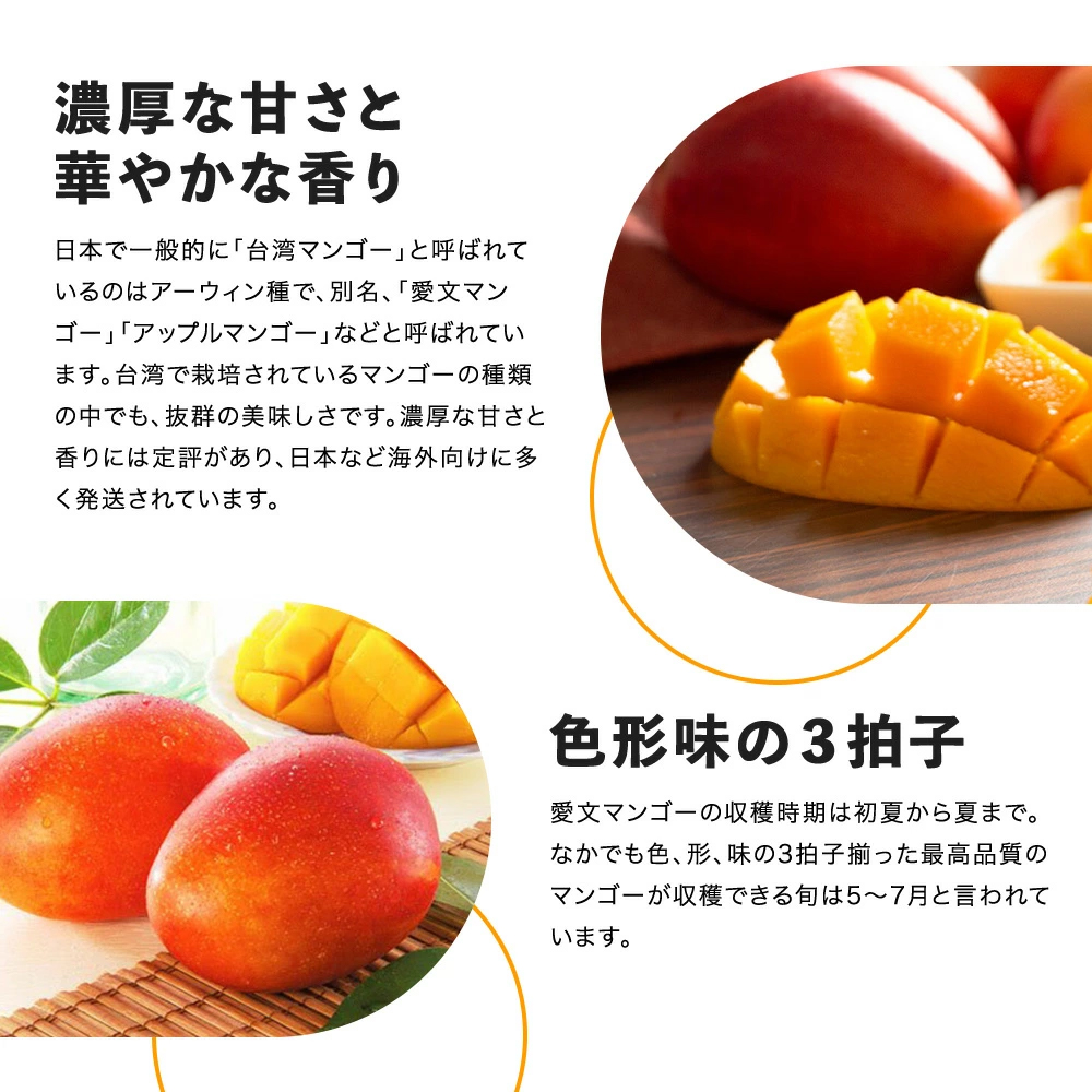 y-mango_03.jpg