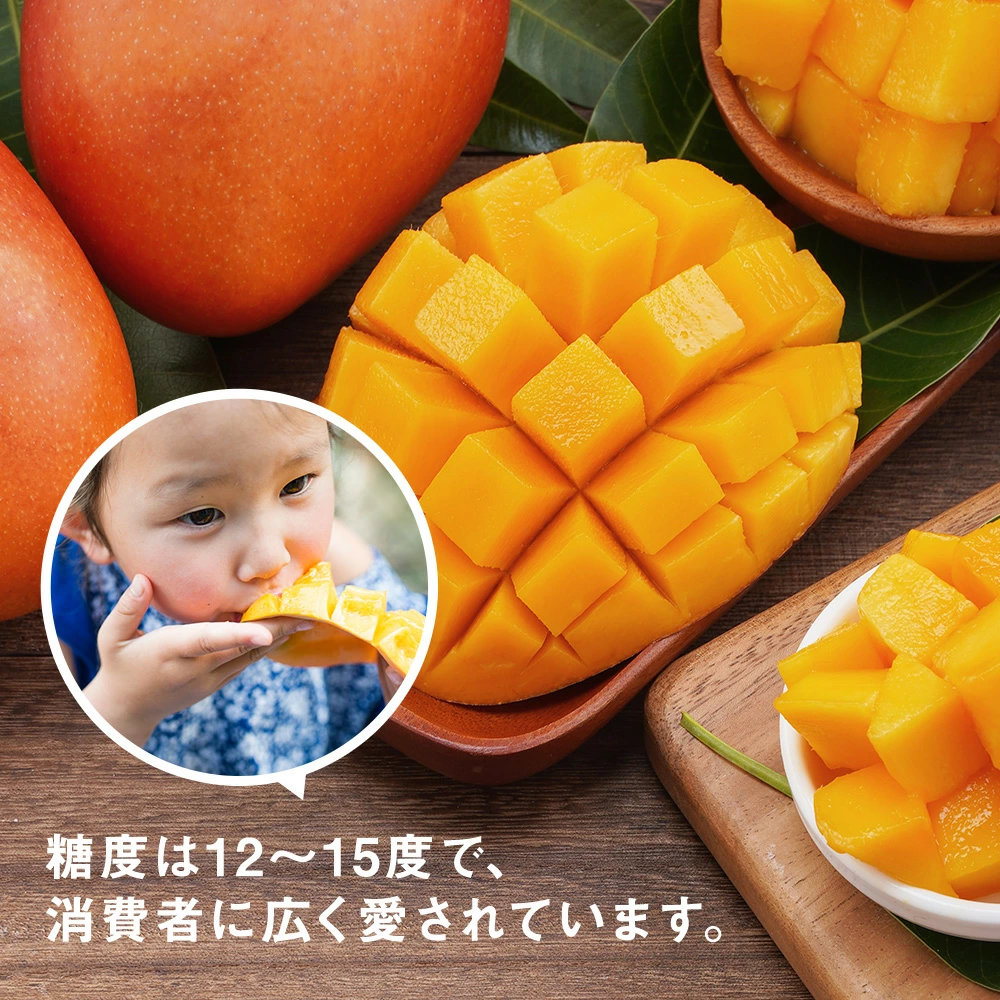 ますよね 完熟マンゴー5kg 12〜16粒 アップルマンゴー 愛文マンゴー
