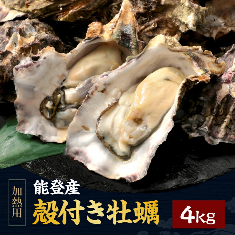 予約 7日程度で当店発送 ますよね かき 牡蠣 電子レンジOK 能登産 殻つき生牡蠣 4kg 30〜40粒前後 10〜16人前 缶/軍手/ナイフ付 カンカン焼き 冷蔵配送 ※加熱用 | ますよね