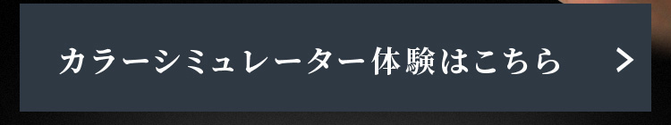 カラーシュミレーション