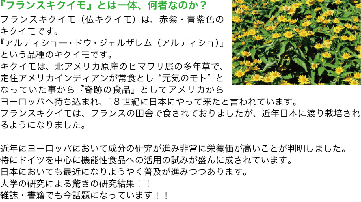 菊芋 きくいも 国産100 高品質 パウダー 紫フランスキクイモ 粉末タイプ 1袋 1g Mh011 又吉本舗 通販 Yahoo ショッピング