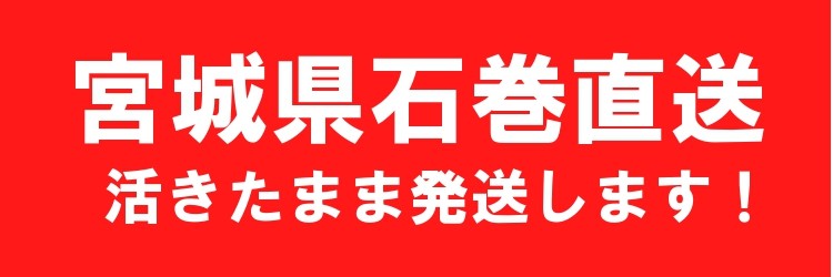 送料無料】天然活あわび 600g<br>約100g〜200gで3個〜7個入り :awabi-t-002:街の小さな直売所 - 通販 -  Yahoo!ショッピング