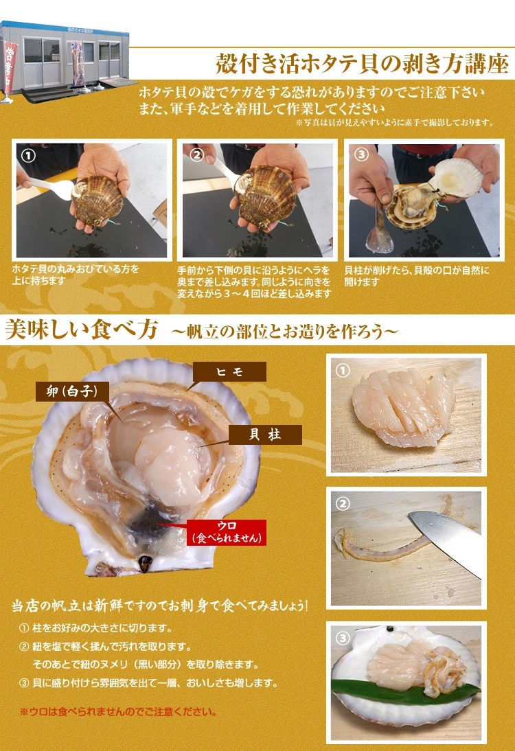 活ホタテ10枚 H 10 街の小さな直売所 通販 Yahoo ショッピング 活ホタテ10枚 H 10 街の小さな直売所 通販 Yahoo ショッピング