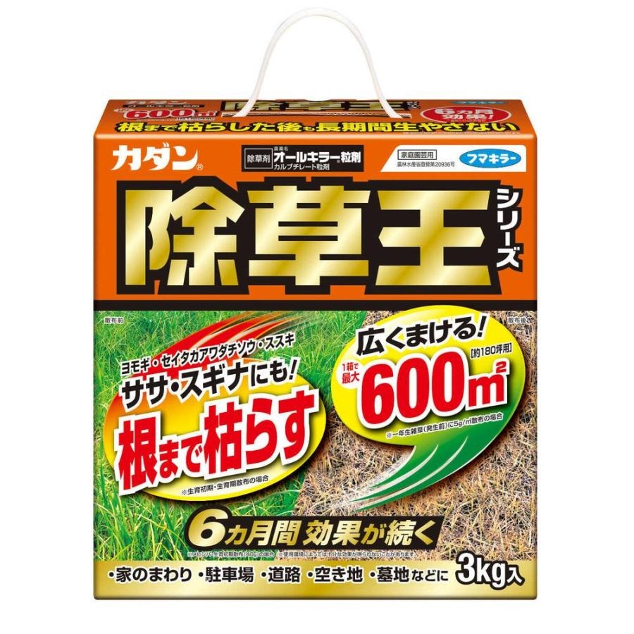 Amazon.co.jp: フマキラー カダン 除草王シリーズ 除草剤 液剤