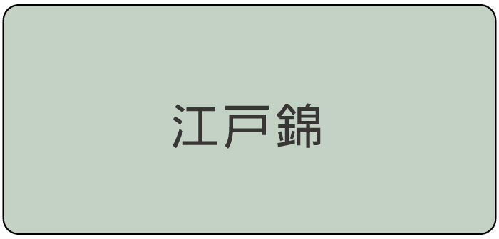 江戸錦