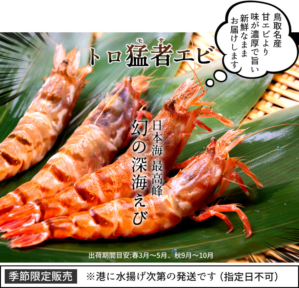モサエビ 500g(約20尾) 猛者えび 鳥取県産 幻のえび 日本海 旨味が強い