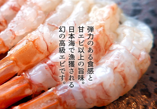 モサエビ 1kg(約40尾) 猛者えび 鳥取県産 幻のえび 日本海 旨味が強い