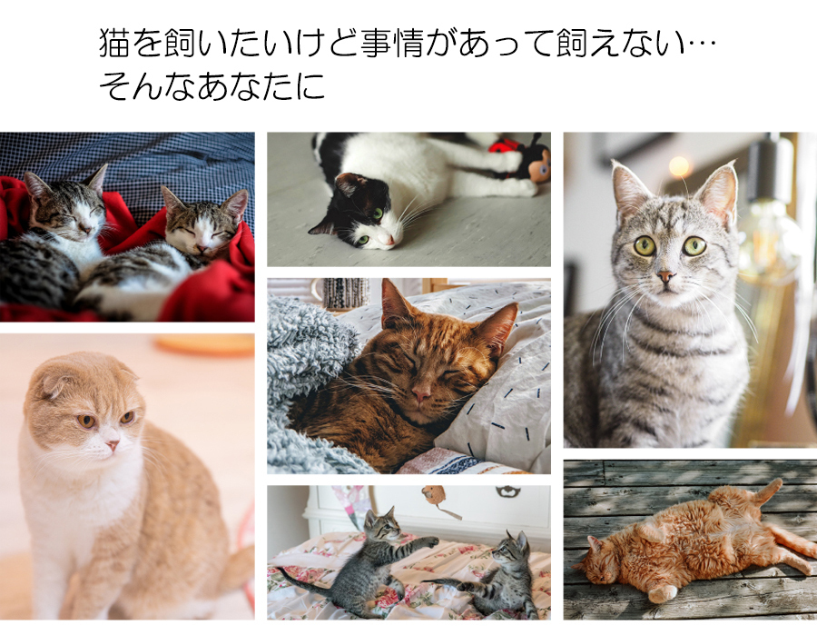 すぐに使える単4電池プレゼント ミャウエバー 猫 癒し ぬいぐるみ