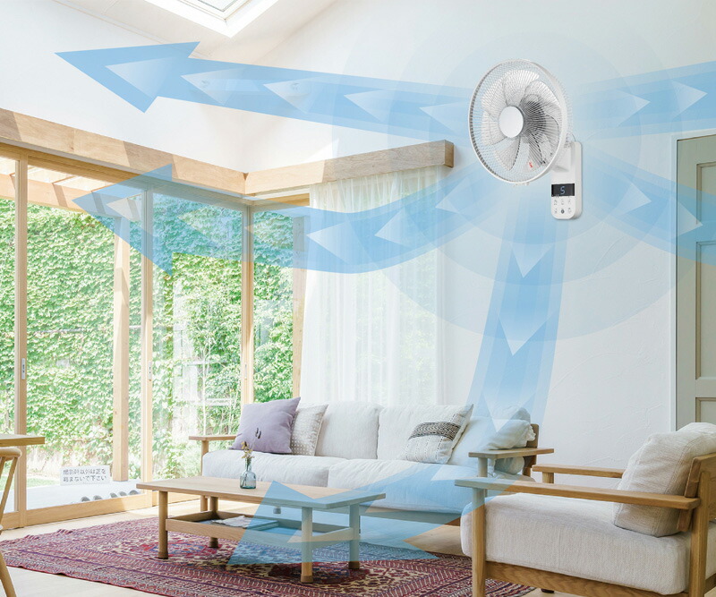 シィーネット DCモーター 壁掛け扇風機 電気代50％OFF CKDF308WH シー