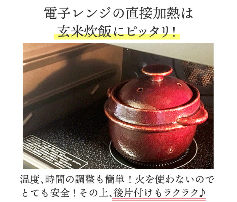 日本製 レンジで玄米炊飯セット １合炊 玄米炊飯器 レンジ専用 電子 