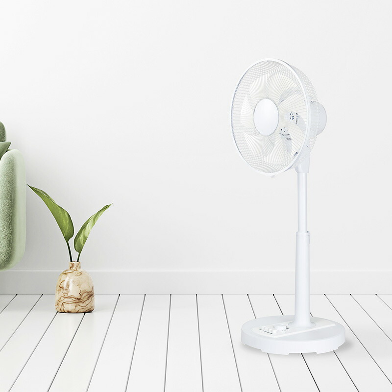 シィーネット DCモーター扇風機 電気代最大50％OFF 省エネ DC