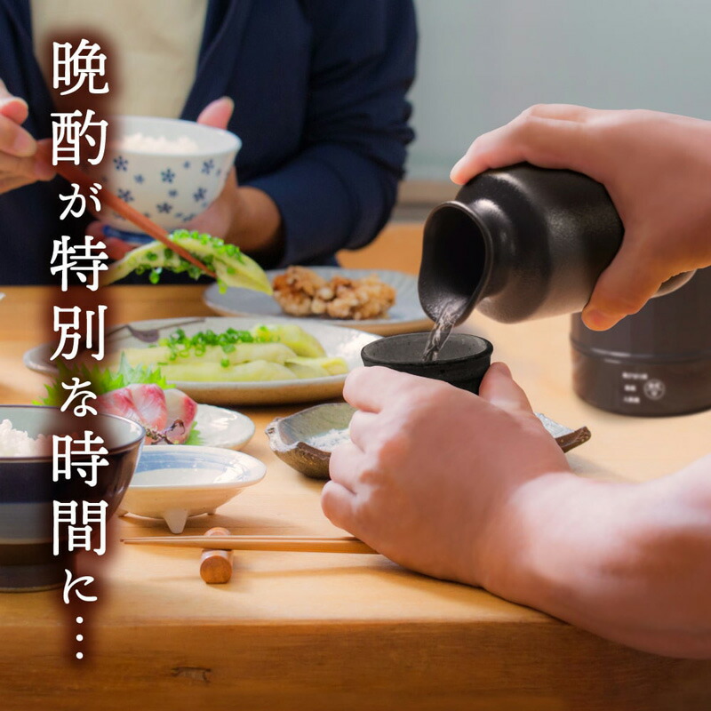 THANKO サンコー 湯煎式酒燗器 大燗板 ATKN25ABK とっくり付 湯煎式