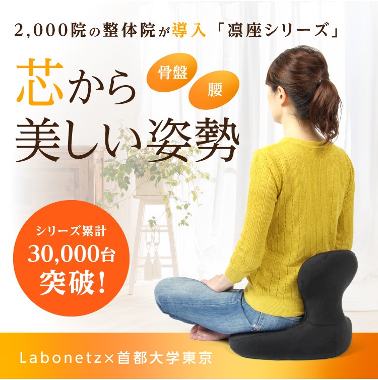 Labonetz ラボネッツ 骨盤座椅子 凛座 同志社大学共同研究 - チェア