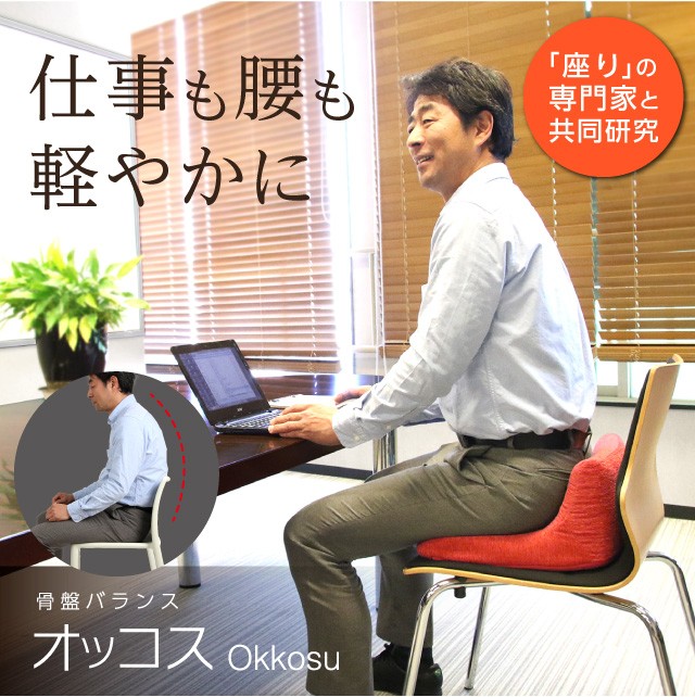 保証書付 ラボネッツ 骨盤バランス オッコス レッド ブラウン 骨盤枕 骨盤座椅子 Okkosu 骨盤起こし 骨盤クッション 座るだけ骨盤クッション オコス ビジネスチェア や 人気満点 Www Muslimaidusa Org