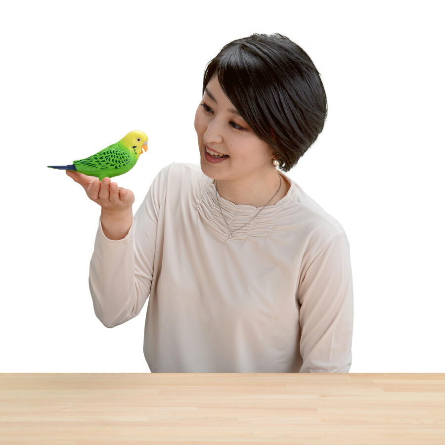 毎日おしゃべり 天才インコちゃん 音声認識人形 お話し人形 クーポン配布中 毎日おしゃべり 天才インコちゃん 音声認識人形 お話し人形 おしゃべりロボット 毎日お喋り しゃべる人形 天才インコチャン おもちゃ ま 代購幫