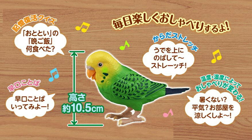 毎日おしゃべり 天才インコちゃん 音声認識人形 お話し人形 クーポン配布中 毎日おしゃべり 天才インコちゃん 音声認識人形 お話し人形 おしゃべりロボット 毎日お喋り しゃべる人形 天才インコチャン おもちゃ ま 代購幫