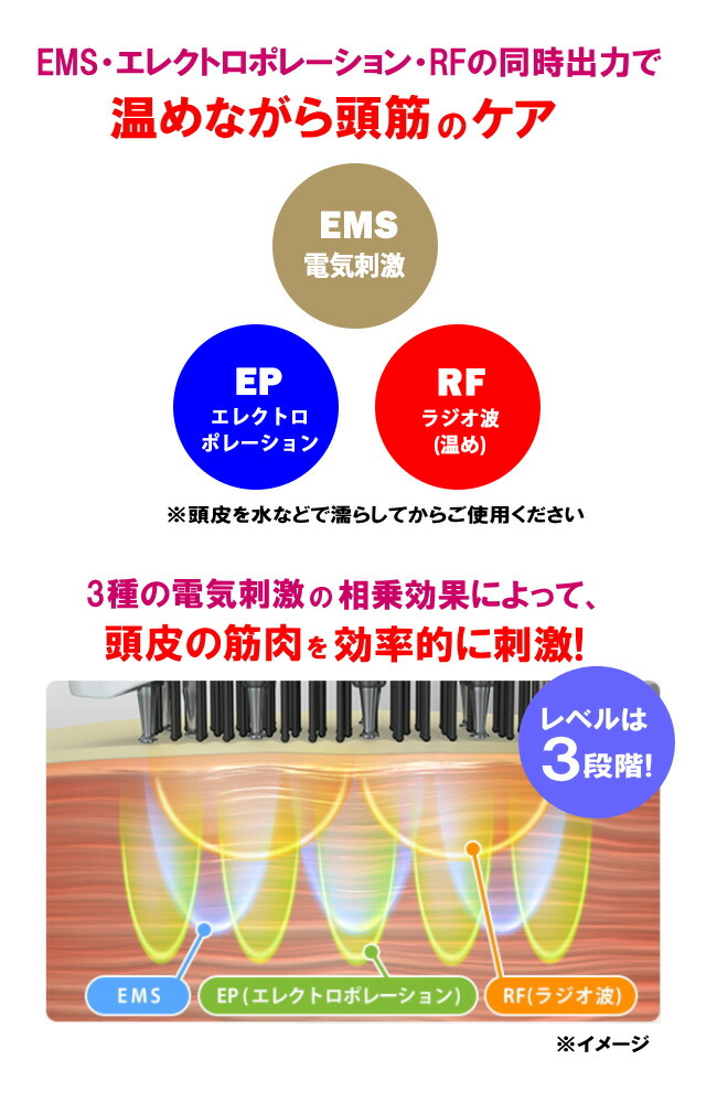 TVで紹介 アデランス DoRAISE 電気リフトブラシ ドゥライズ 電気