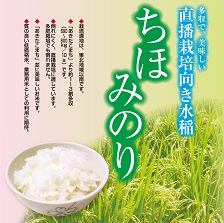 会津産　ちほみのり