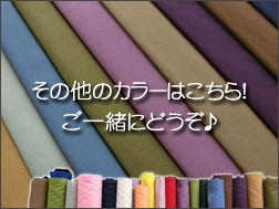 色違いはこちら