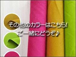 色違いはこちら