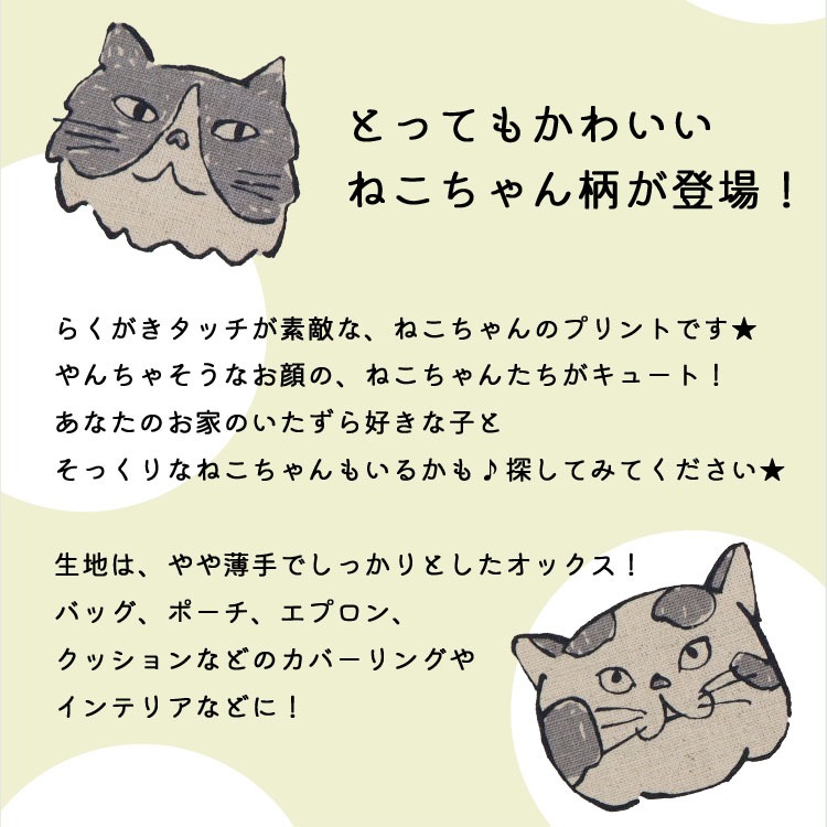 KOKKA Doodle Animals『やんちゃな♪ねこちゃん KOKKA Doodle Animals『やんちゃな♪ねこちゃん