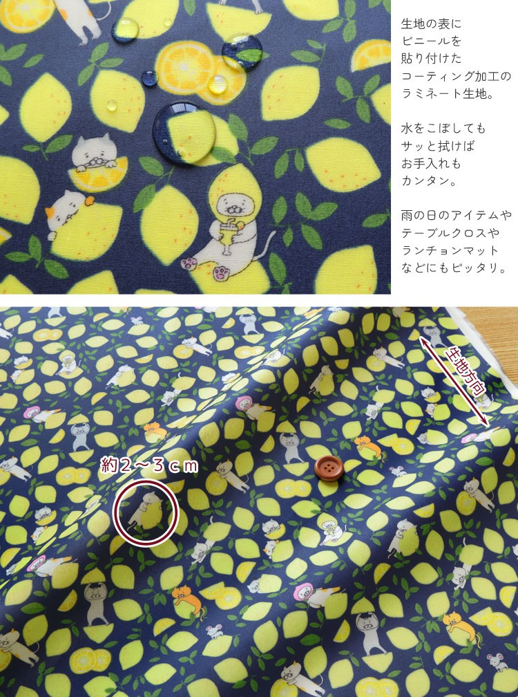 コットンこばやし 【丸巻き発送】ツヤ消しラミネート レモン大好き