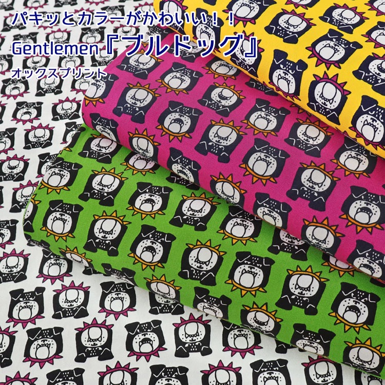 パキッとカラーがかわいい！！Gentlemen『ブルドッグ