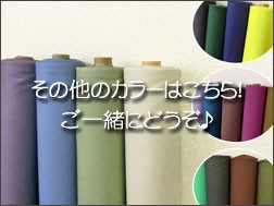 色違いはこちら