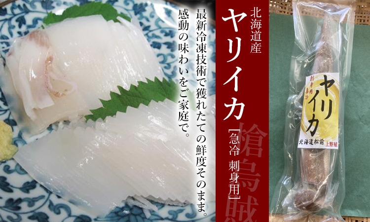 北海道松前産の冷凍ヤリイカ お刺身用