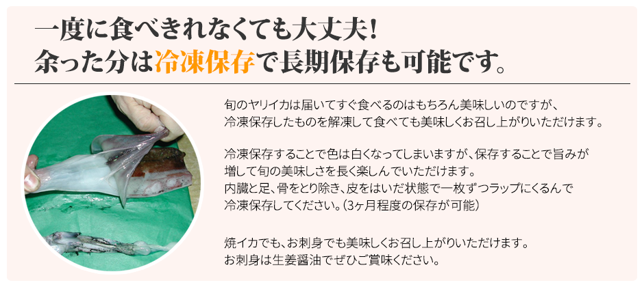 ヤリイカ 冷凍保存