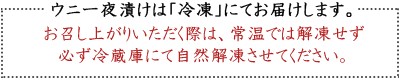 天然うに 一夜漬け 北海道