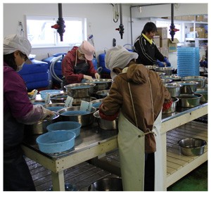 天然うに 一夜漬け 北海道