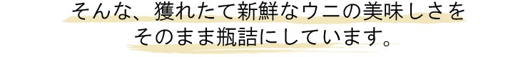 天然うに 一夜漬け 北海道