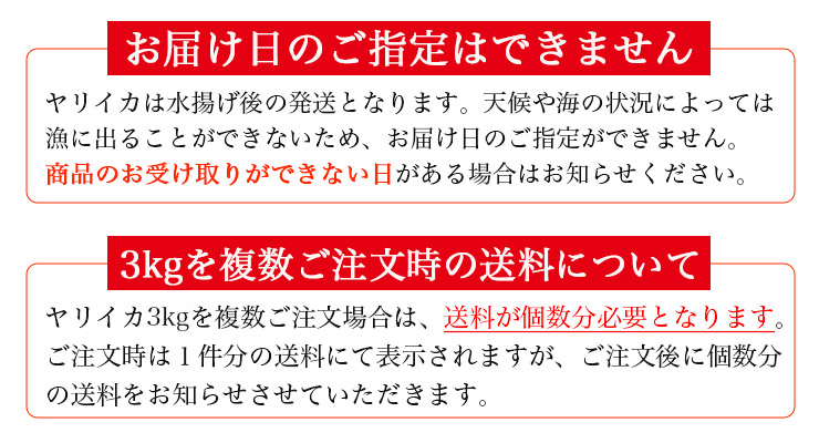 ヤリイカ 配送について