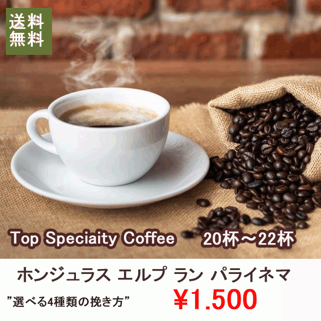 コーヒー豆 珈琲豆 200ｇ ホンジュラス エルプ・ラン パライネマ トップトップスペシャルティ 受注後焙煎 一流焙煎師による自家焙煎のコーヒー豆  松本珈琲 :zh3ms350gk:松本珈琲ヤフー店 - 通販 - Yahoo!ショッピング